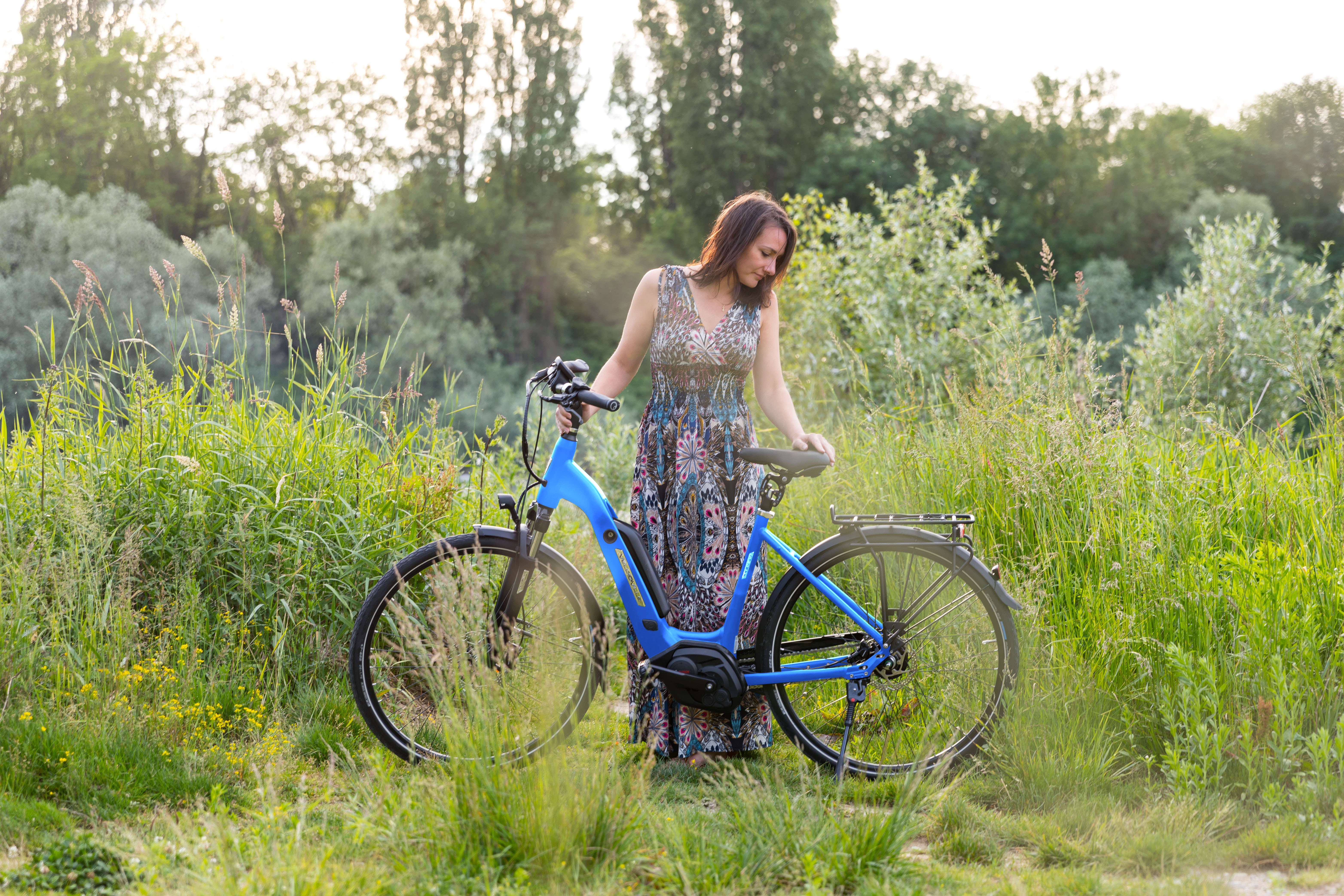 Elektrorad von Velo de Ville elberad